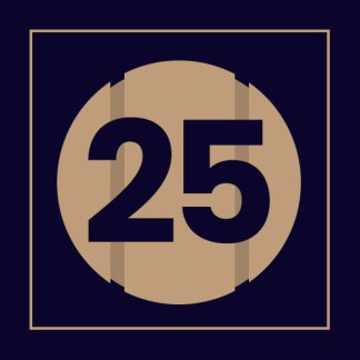 Pid-5 25 Questionnaire