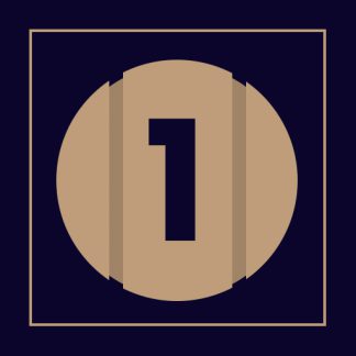 Pid-5 1 Questionnaire