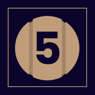 Pid-5 5 Questionnaire